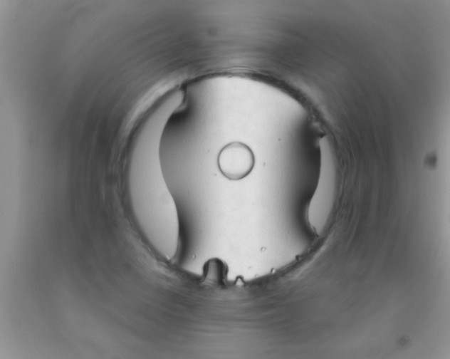 X0000091341410200709071209