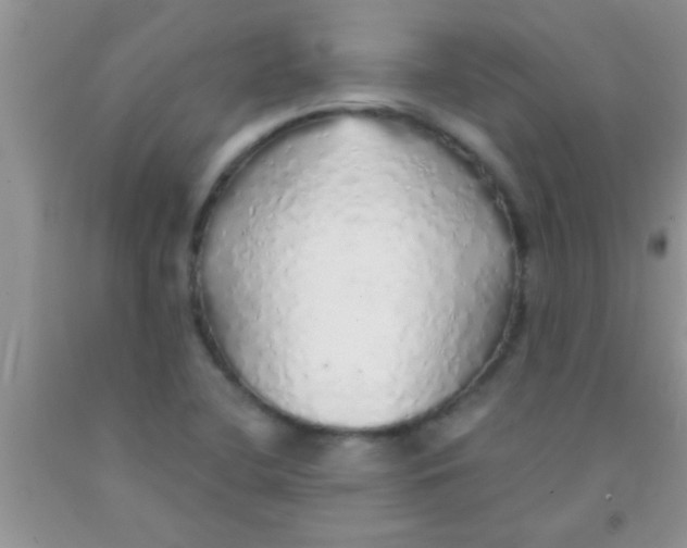 X0000091341412200709071209