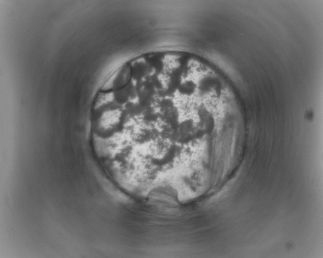 X0000091341413200709071209