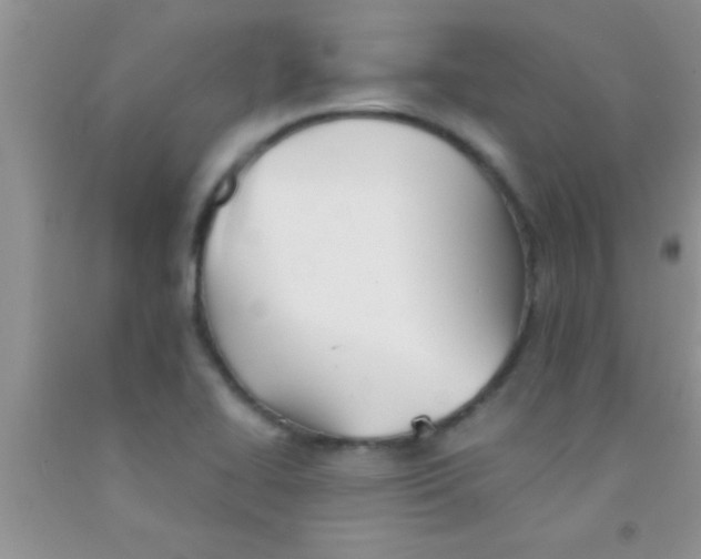 X0000091341414200709071209