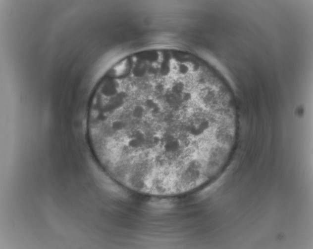 X0000091341415200709071209