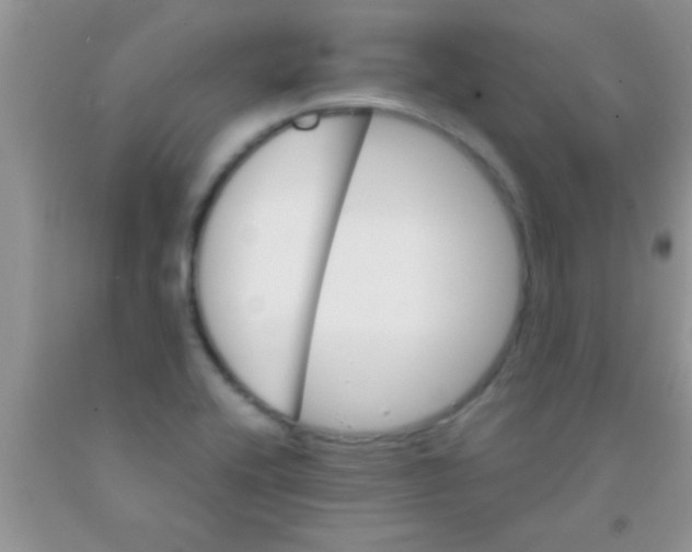 X0000091341416200709071209