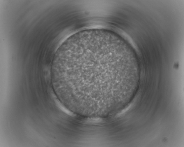 X0000091341417200709071209