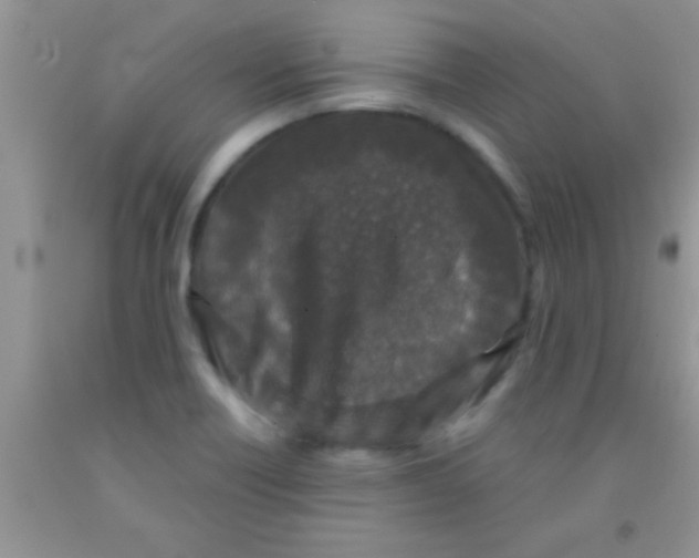 X0000091341418200709071209