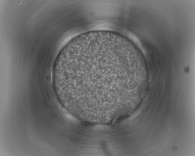 X0000091341419200709071209