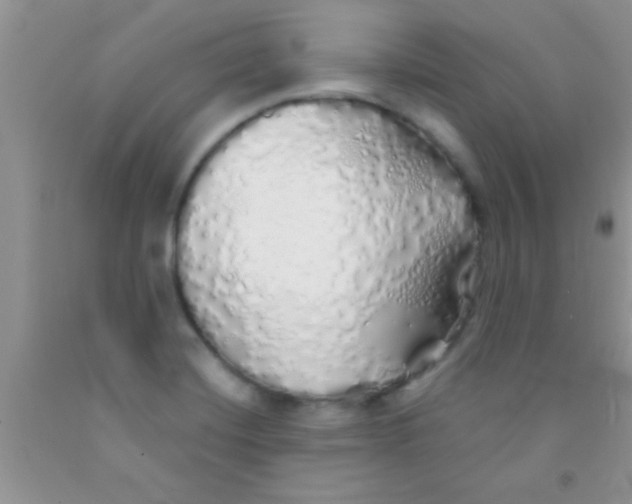 X0000091341420200709071209