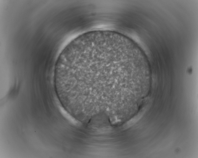 X0000091341421200709071209