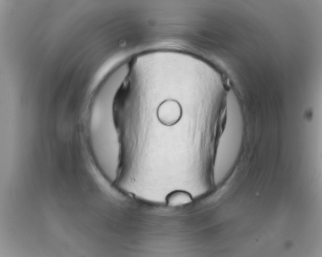 X0000091341422200709071209