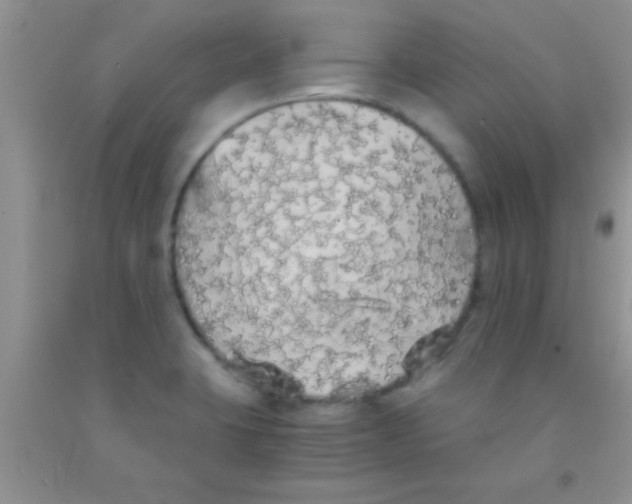 X0000091341423200709071209