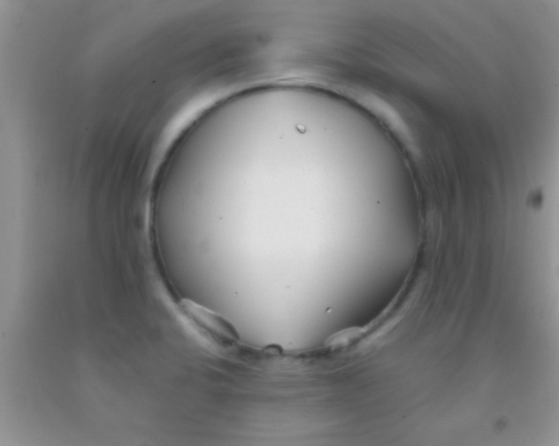 X0000091341424200709071209