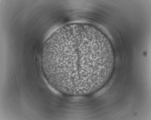 X0000091341425200709071209