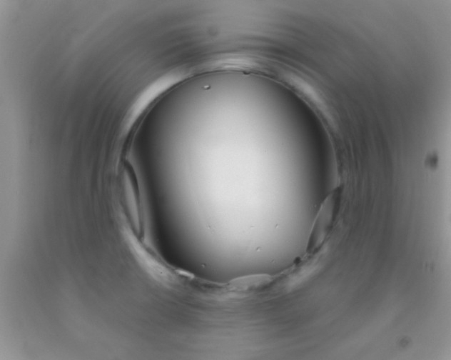 X0000091341426200709071209