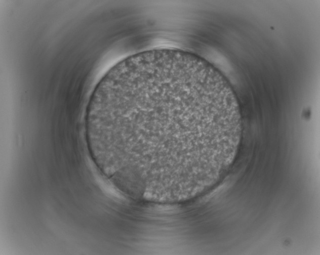 X0000091341427200709071209