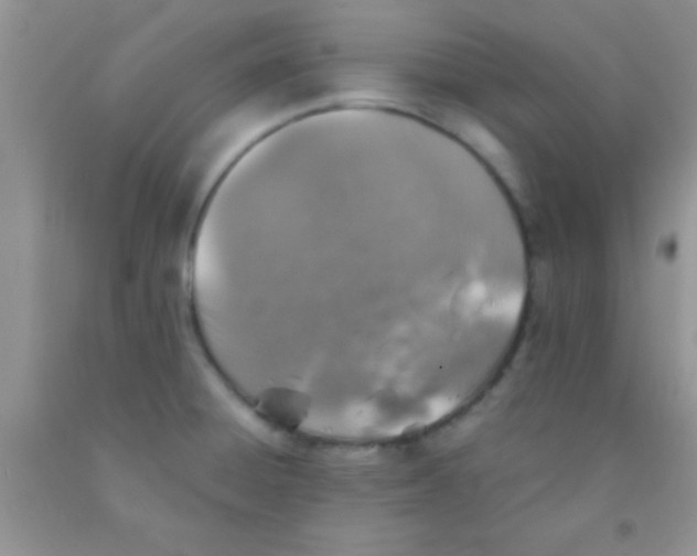 X0000091341428200709071209