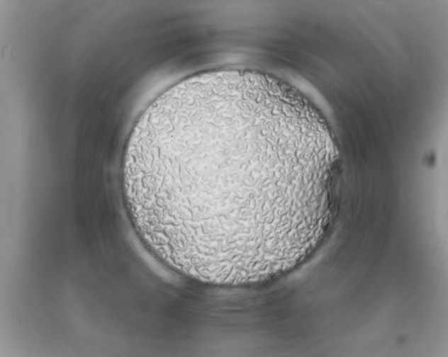 X0000091341429200709071209