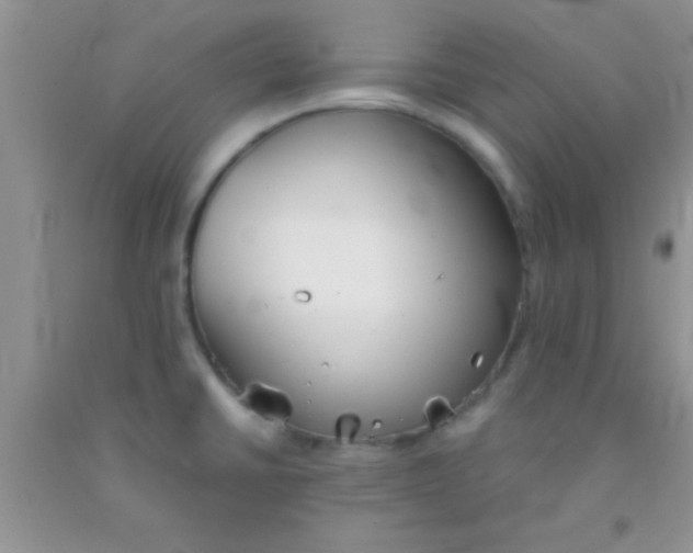 X0000091341430200709071209