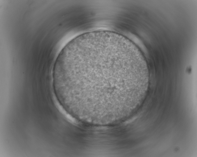 X0000091341431200709071209