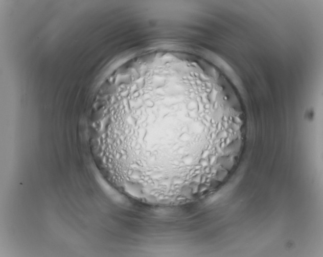 X0000091341433200709071209