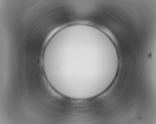 X0000091341436200709071209