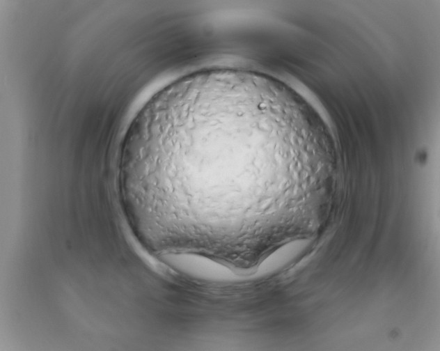 X0000091341437200709071209