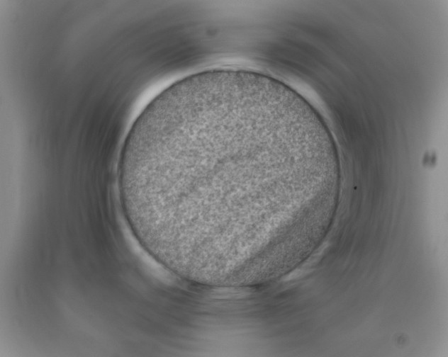 X0000091341440200709071209