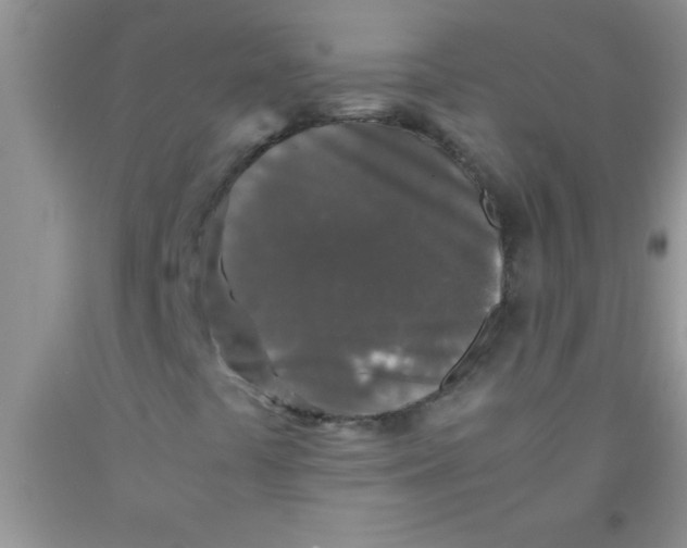 X0000091341441200709071208