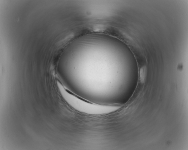 X0000091341443200709071208