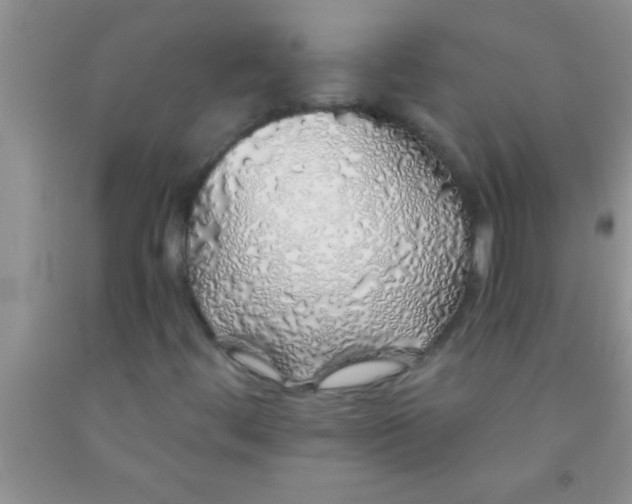 X0000091341444200709071208