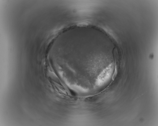 X0000091341445200709071208