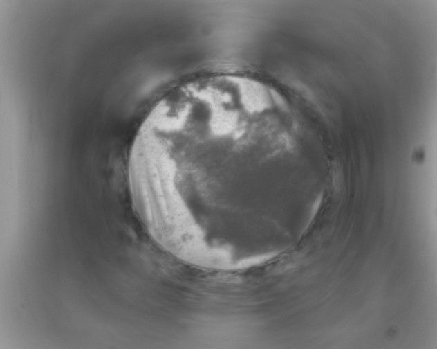 X0000091341446200709071208