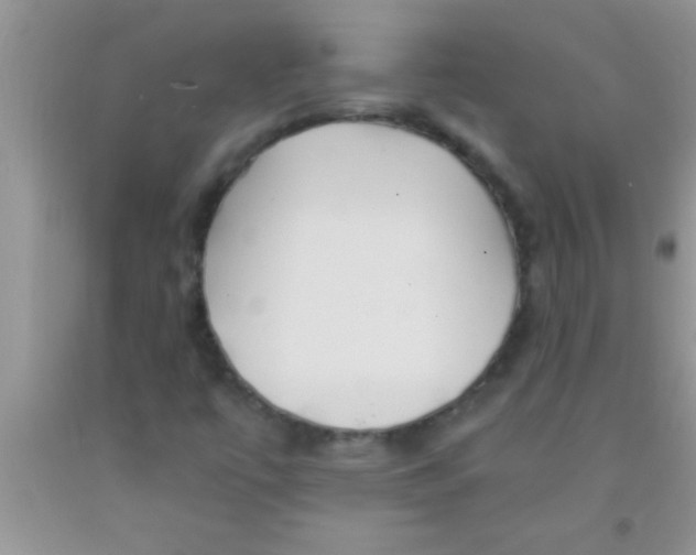 X0000091341447200709071208