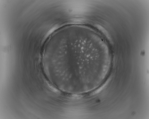 X0000091341449200709071208