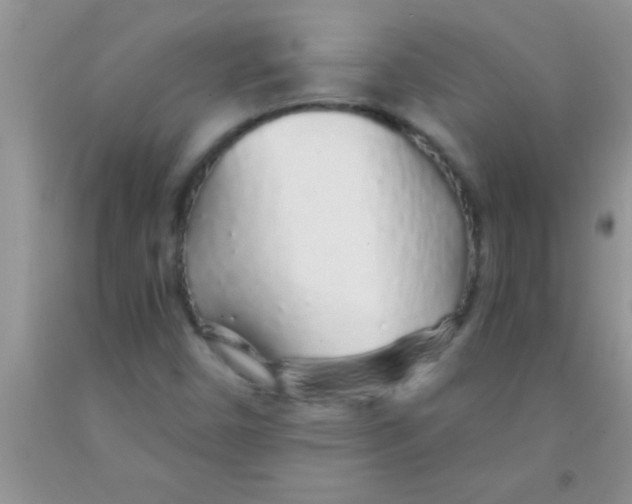 X0000091341450200709071208