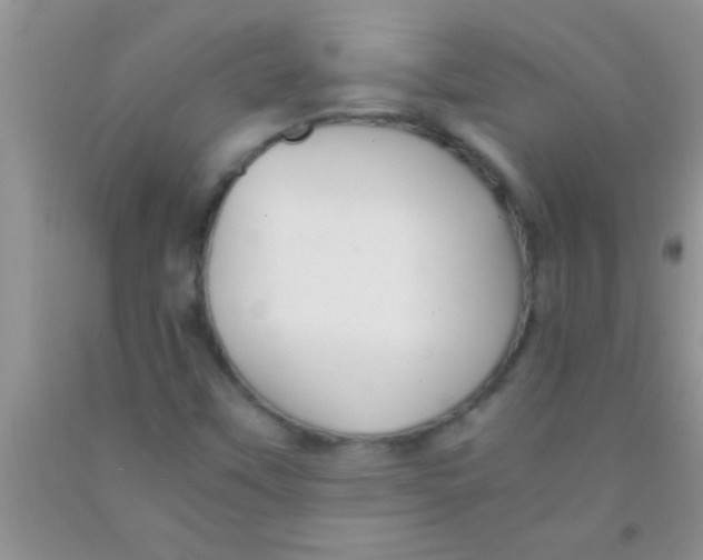 X0000091341451200709071208