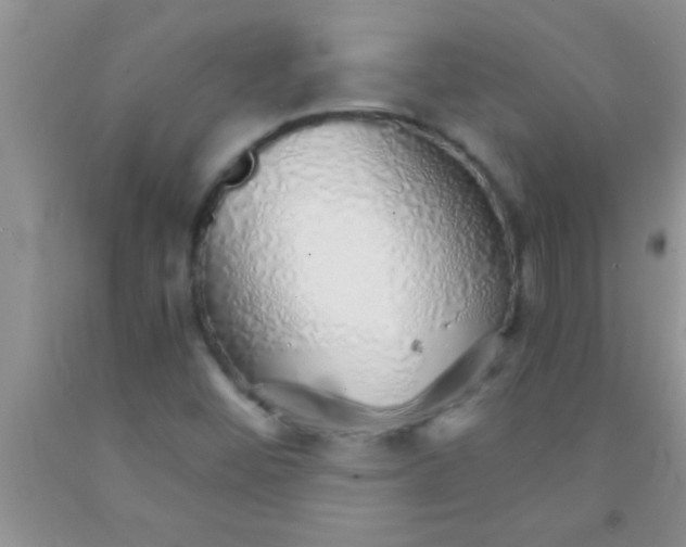 X0000091341452200709071208