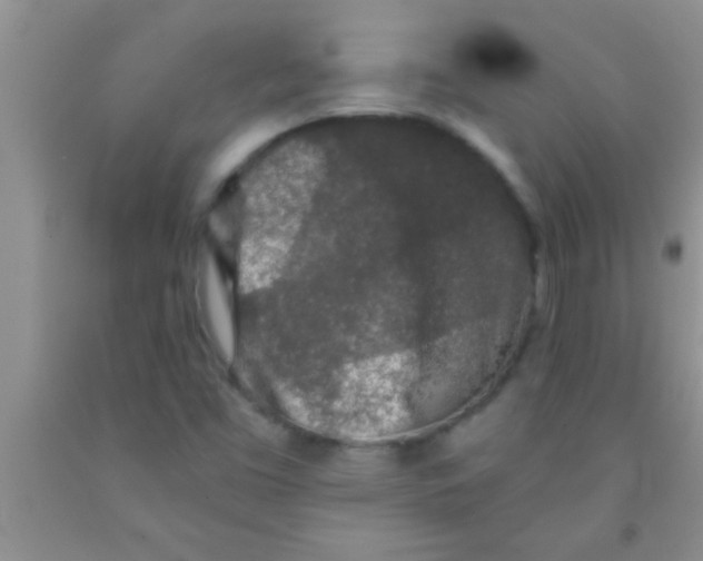 X0000091341453200709071208