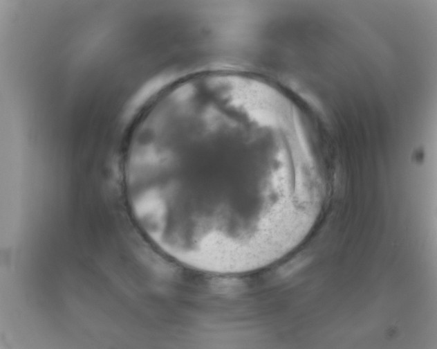 X0000091341454200709071208