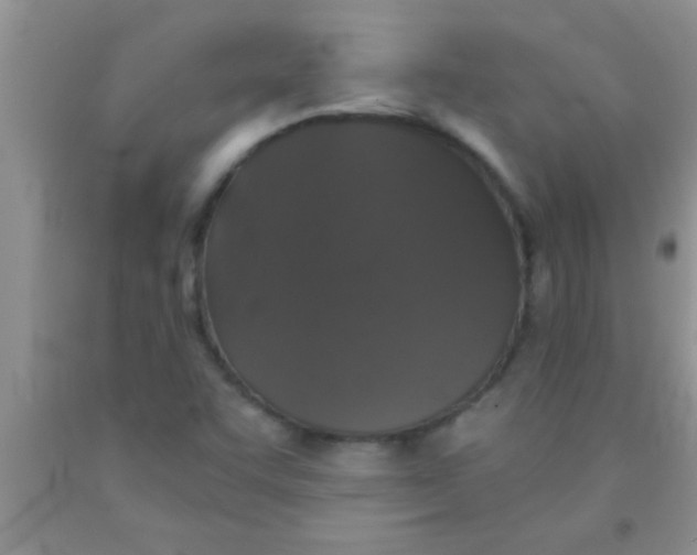 X0000091341455200709071208