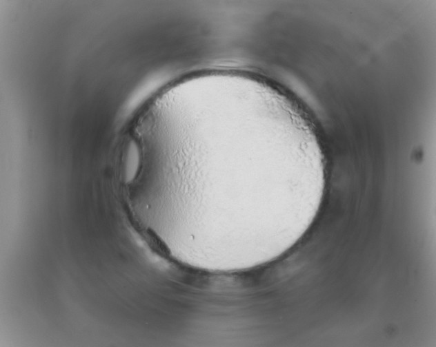 X0000091341456200709071208