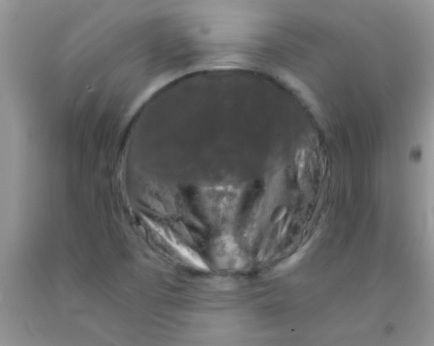 X0000091341457200709071208