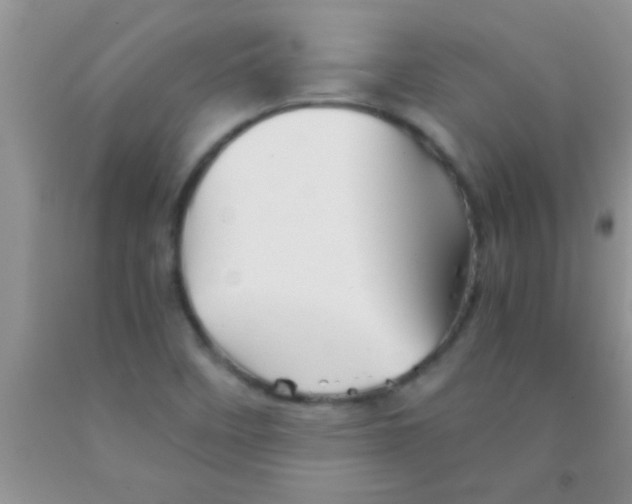 X0000091341458200709071208