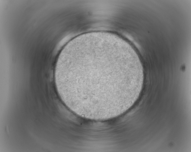 X0000091341459200709071208