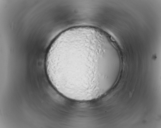 X0000091341460200709071208