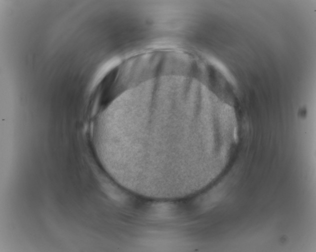 X0000091341461200709071208