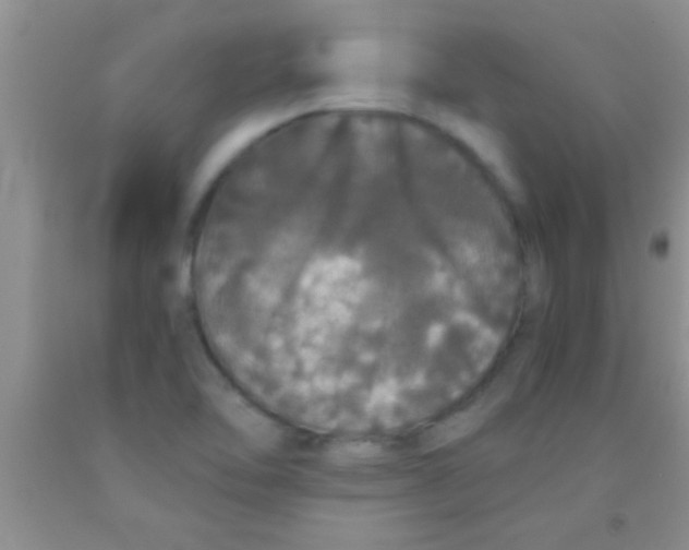 X0000091341462200709071208