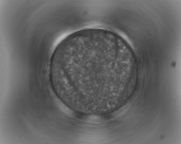 X0000091341463200709071208