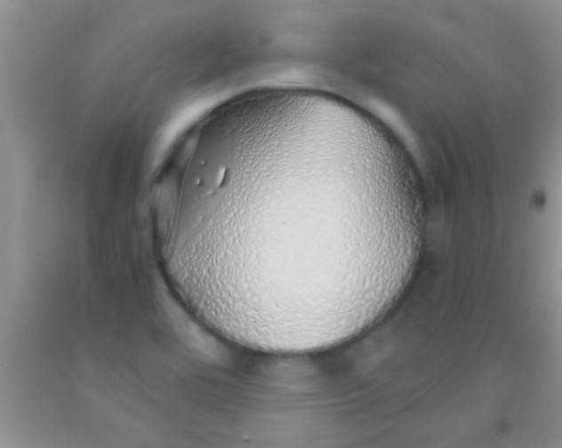 X0000091341464200709071208