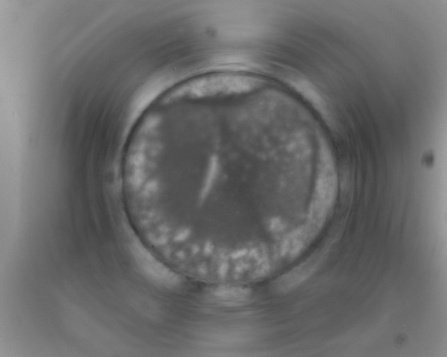 X0000091341466200709071208