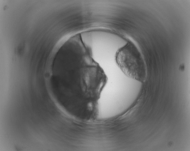 X0000091341467200709071208