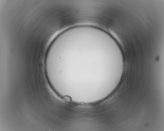 X0000091341468200709071208